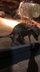 -酷嗒动物文化乐园(cutezoo西溪乐天城店)