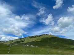 -煲来饱去冷水鱼