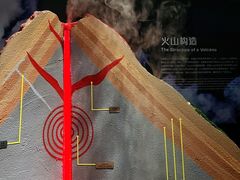 -正佳自然科学博物馆