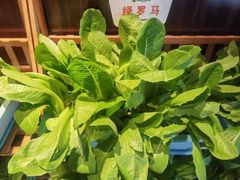 -真爱中国餐馆·年华店(朱雀大街店)