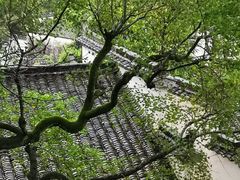 -塔川景区