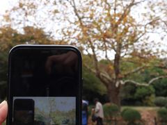 -八大关景区