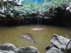 -北京动物园