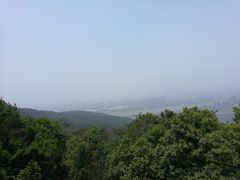 -旗山国家森林公园