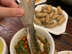 脆肉鲩鱼尾-正能量脆肉鲩火锅