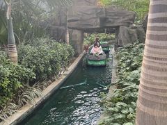 -南宫五洲植物乐园