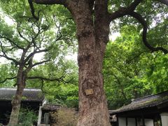 -惠山古镇·寄畅园