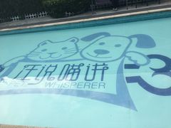-汪说喵讲宠物乐园宠物酒店(红星美凯龙店)