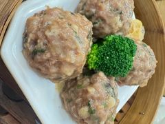 -泉龙渔村·粤式早茶·金牌烧鹅(中山三乡店)