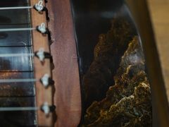 -禅韵琴社 古琴茶道香道插花培训(西华门店)