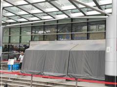 -上海中医药大学附属曙光医院(东部)