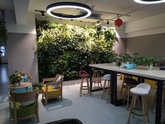 -引领英语·成人口语·雅思托福