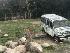 -西安秦岭野生动物园