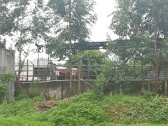 -横沥牛庄(总店)