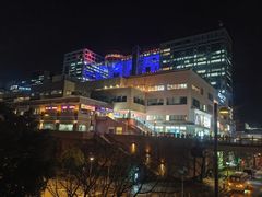 -台场海滨公园船码头