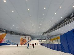-哈尔滨热雪奇迹
