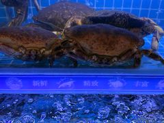 -江南福宴·澳门海鲜.牛肉火锅(汇高栢悦中心店)