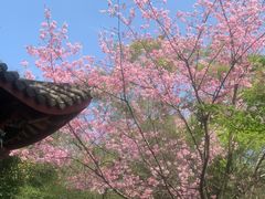 -乌山风景区