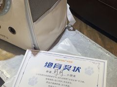 -宠颐生斯嘉宠物医院·急重症·心内科(谷阳北路分院)
