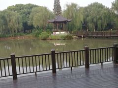 -瀛洲公园