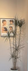 -美年亲子儿童摄影(合肥市滨湖新区金泉小区店)