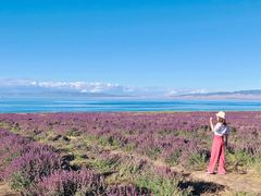 -青海湖国家重点风景名胜区