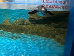 -常州海昌海洋探索馆