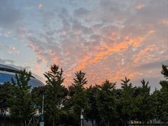 -红星前进面包牛奶公司(畅春园店)