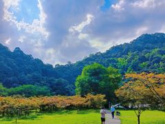-五泄景区
