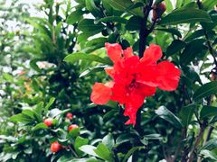 -南京工程学院(江宁校区)