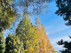 -国家植物园南园