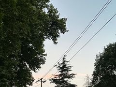 -南京老山国家森林公园