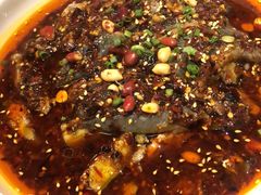 凉拌鸡-铁公鸡·四川料理(天环广场店)