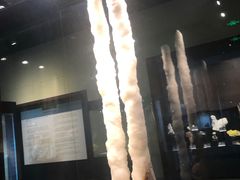 -中华赏石园