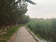 -前关湿地公园