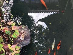 -东山雕花楼