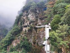 -水墨汀溪风景区