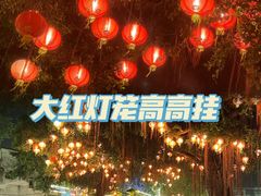 -云顶山庄·粤菜·农家菜(共和店)