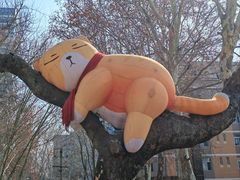 -西安电影制片厂