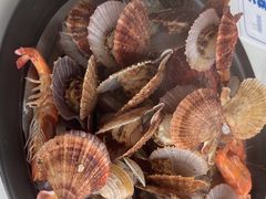 -大锅强·蒸海鲜青岛菜(金沙滩店)
