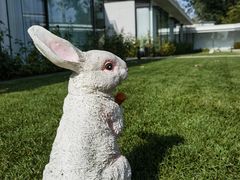 -春晖园度假酒店温泉