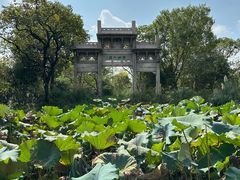 -西溪国家湿地公园