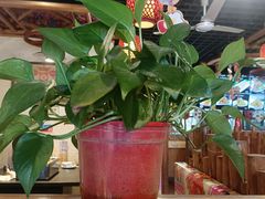 -靠山屯东北农家菜(八龙桥雅苑店)