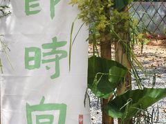-东方爱婴早教·托育·自然课程