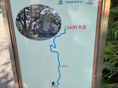 -广州市帽峰山景区