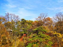 -少华山国家森林公园