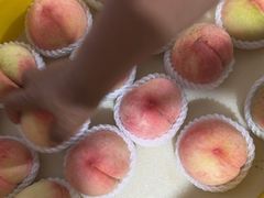 -老袁家蜜桃农场·阳山水蜜桃