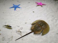 -多彩贵州城极地海洋世界