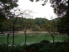 -广州市帽峰山景区