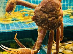 -震海贝烤贝·民俗特色店(延吉总店)
